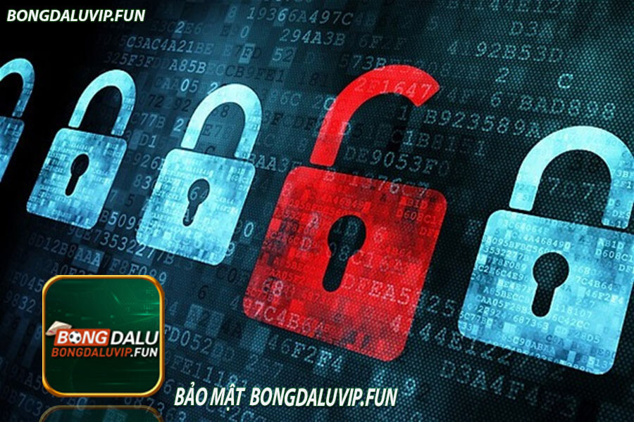 bảo mật bongdaluvip.fun