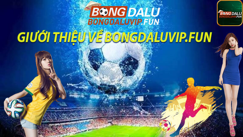 Khái niệm về bongdalu