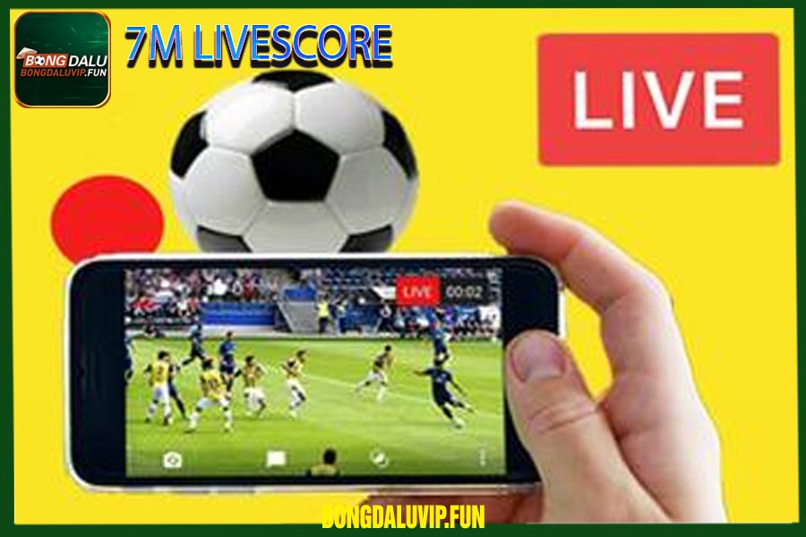 7m livescore