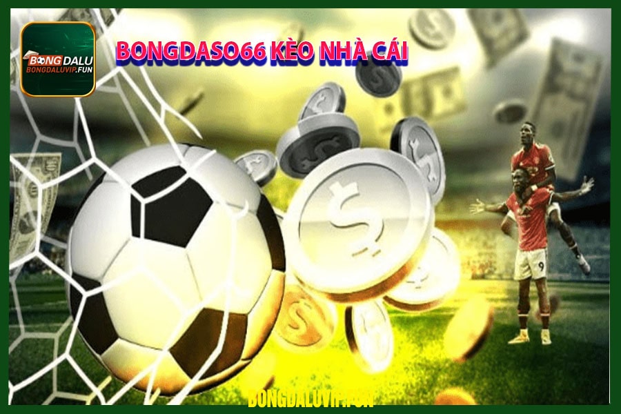 Bongdaso66 kèo nhà cái