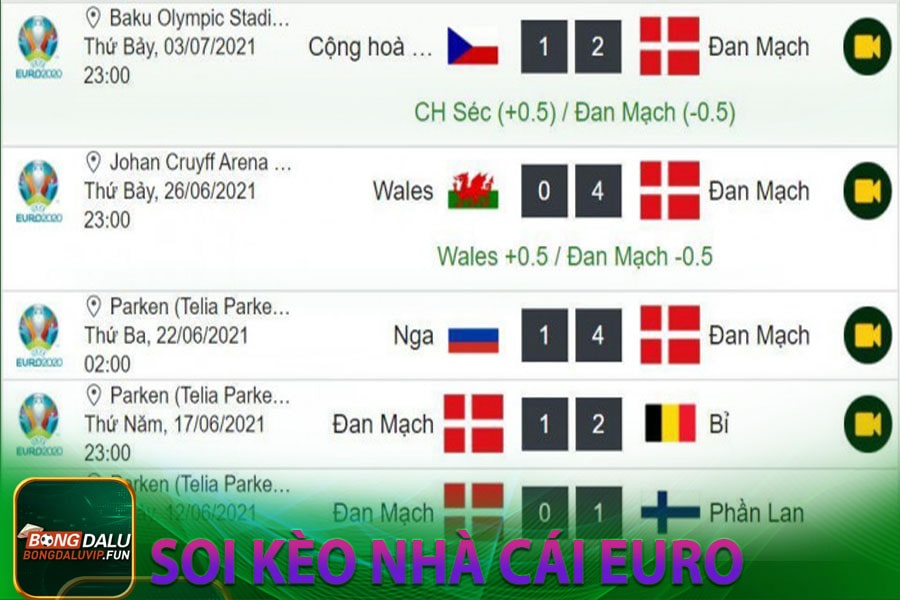 Soi kèo nhà cái Euro