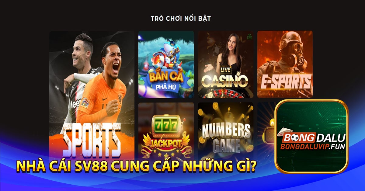 Nhà cái SV88 cung cấp những gì?