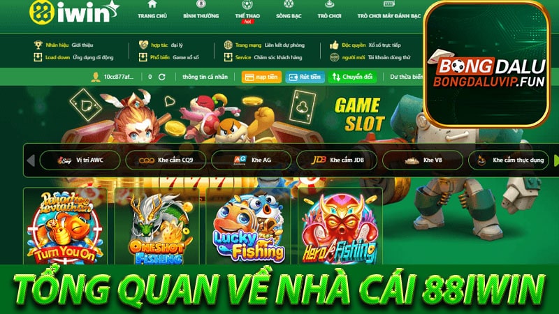 Tổng quan về nhà cái 88iwin