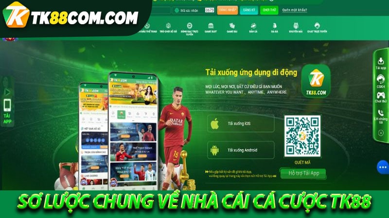Sơ lược chung về nhà cái cá cược Tk88