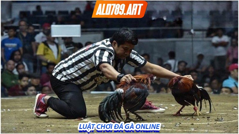 Luật chơi đá gà trực tuyến